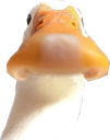 production_duck Discord emoji
