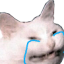 catcryhuhu Discord emoji