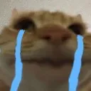 OT_SadCatBoi