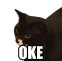catoke