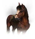 roach Discord emoji
