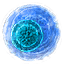 mavmutajen Discord emoji