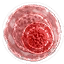 krmzmutajen2 Discord emoji