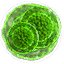 yesilmutajen Discord emoji