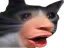 catpogger Discord Emoji