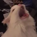 AAAAAAAAAA