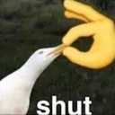 shut