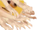 pspspspspspspspspsps