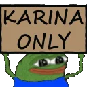 akarinaonly akarinaonly