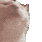 b_gus