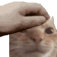 catmasq Discord Emoji