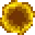 Coin_Portal