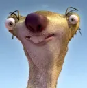 sloth