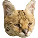 sadsogga sadsogga