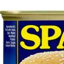 spam1 spam1