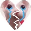 broken_bingus_heart broken_bingus_heart