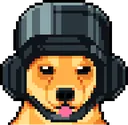 05_DEV_SKYLER