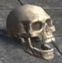 skull2
