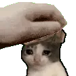 PetThePunchline