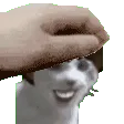 PetTheSub