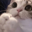 pleaseeee Discord emoji