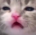 ehh Discord emoji