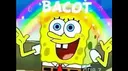 bacot
