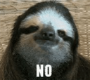 nosloth Discord emoji