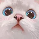 haku_eyes