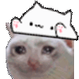 cat_13 Discord emoji