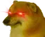 Dogeamgery_LafProjectV2 Discord Emoji