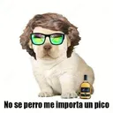 182a740c25763da23c2493f70ba89497