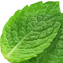 HQmint