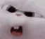 huh_ZH