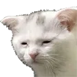 tiredCat