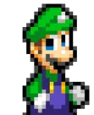 luigishrug