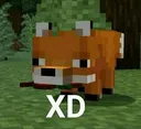 Bv_XD