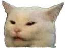 Catbruh catbruh Discord Emoji