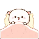 kittypeek