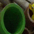 pikMario pikMario