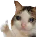 Catthumb catthumb Discord Emoji