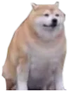 ChonkBoye