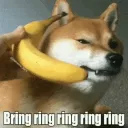 BringBringBananaPhoneDog