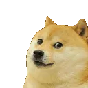 dogebonk dogebonk