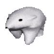 PolarBear Discord emoji