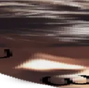 wideRickieeUwU2