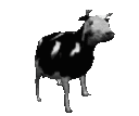 Cow Dancing Discord Emoji
