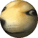 DoggoPlanet