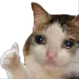 GGscat GGscat