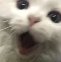 pog